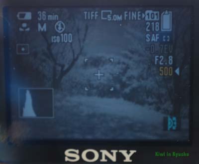 18 photo of IR850 with Shutter speed of 500 to let in less light018