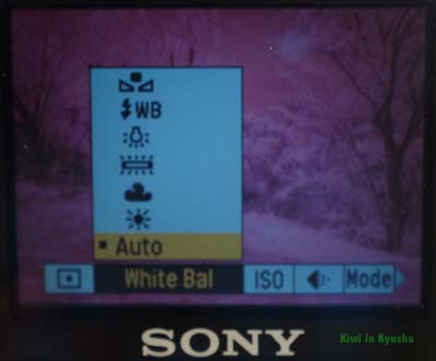 24 photo of camera’s WB set to Auto, shutter speed set to 200 and aperture of f5.6024